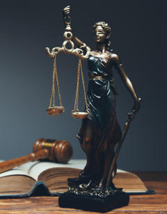 lawyers Portfolio