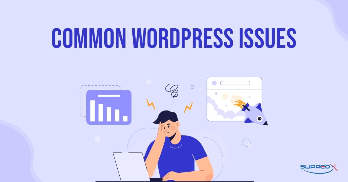 Common WordPress Issues
