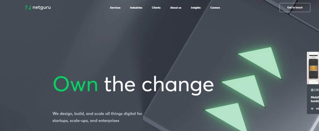 Net Guru Viewport